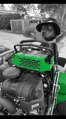 Davis Lawn & Landscaping Logo