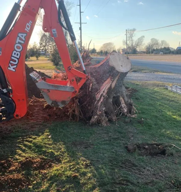 Affordable landscape design for residential properties in Salem, NJ by Davis Lawn and Landscapes