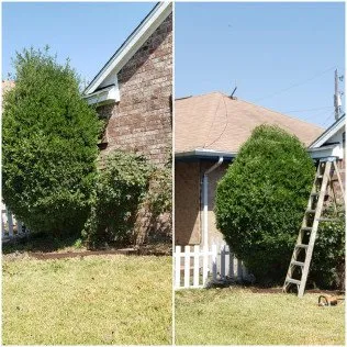Reliable garden landscaping near you in Ector, TX by Davis Lawn Care