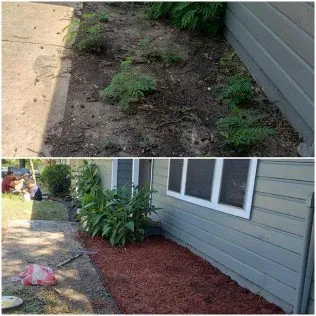 Local lawn care service for beautiful yards across Ector, TX - Davis Lawn Care