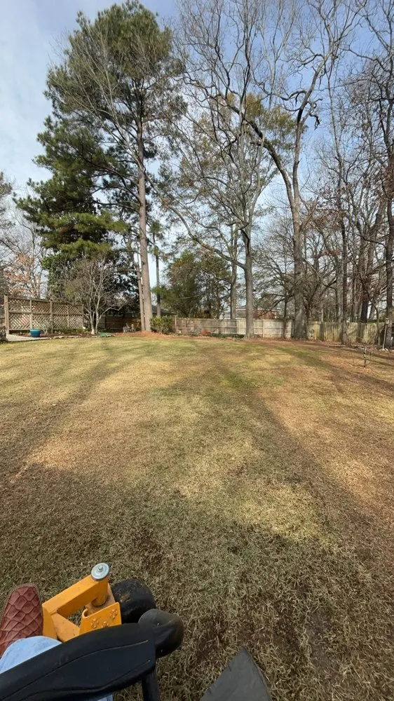 Expert landscaping services in Florence, MS - Davis Lawn Care