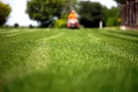 Top-rated lawn care service in Florence, MS by Davis Lawn Care