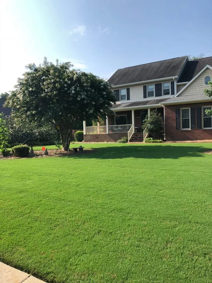 Reliable lawn mowing service experts serving Harvest, AL - Davis Lawn Care