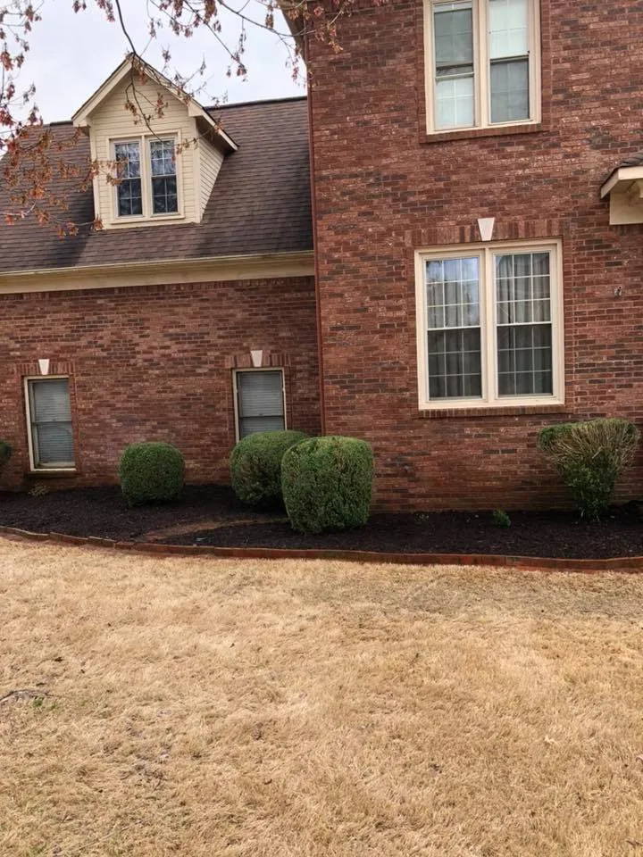 Trusted residential landscaping experts serving Harvest, AL - Davis Lawn Care