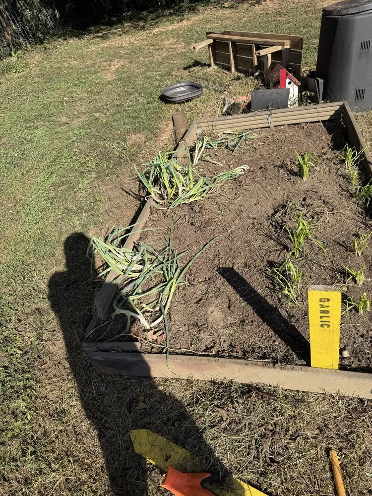 Trusted lawn mowing service experts serving Knoxville, TN - Davis Lawn Care