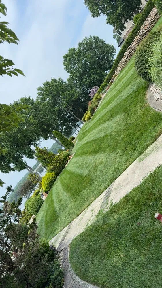 Affordable yard maintenance in Knoxville, TN - Davis Lawn Care