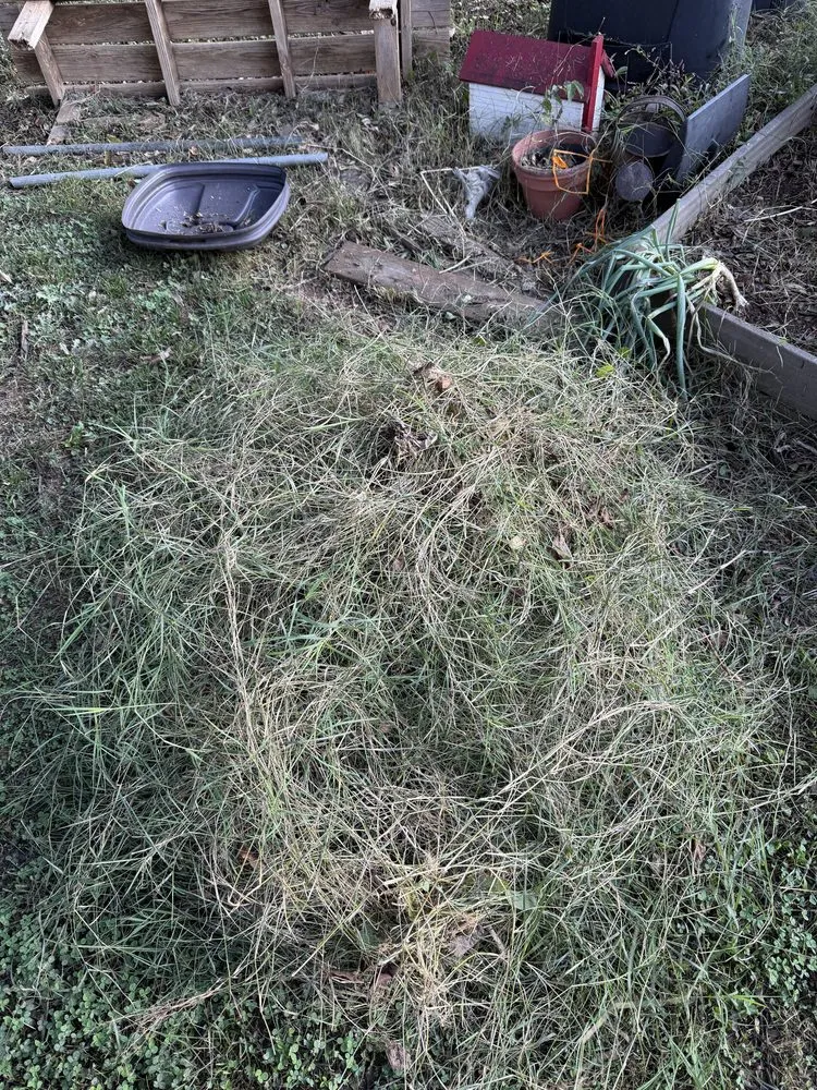 Local residential landscaping in Knoxville, TN - Davis Lawn Care