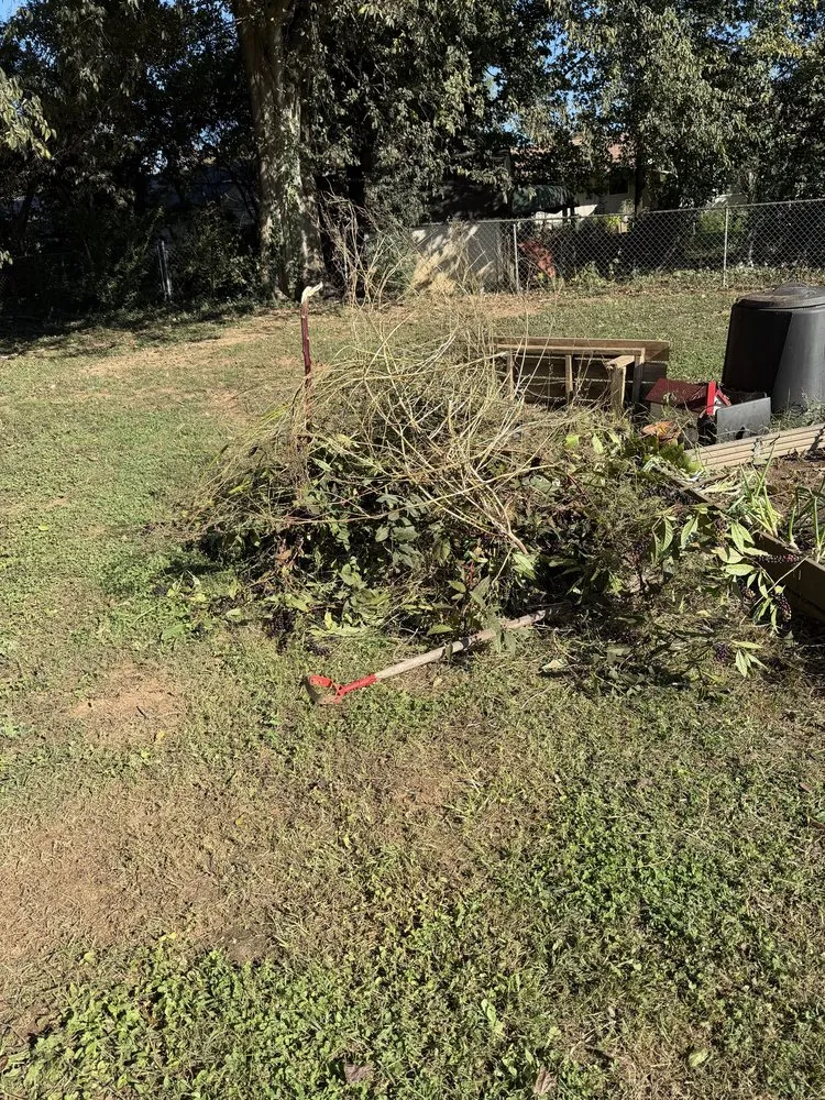 Professional lawn mowing service for residential properties across Knoxville, TN - Davis Lawn Care