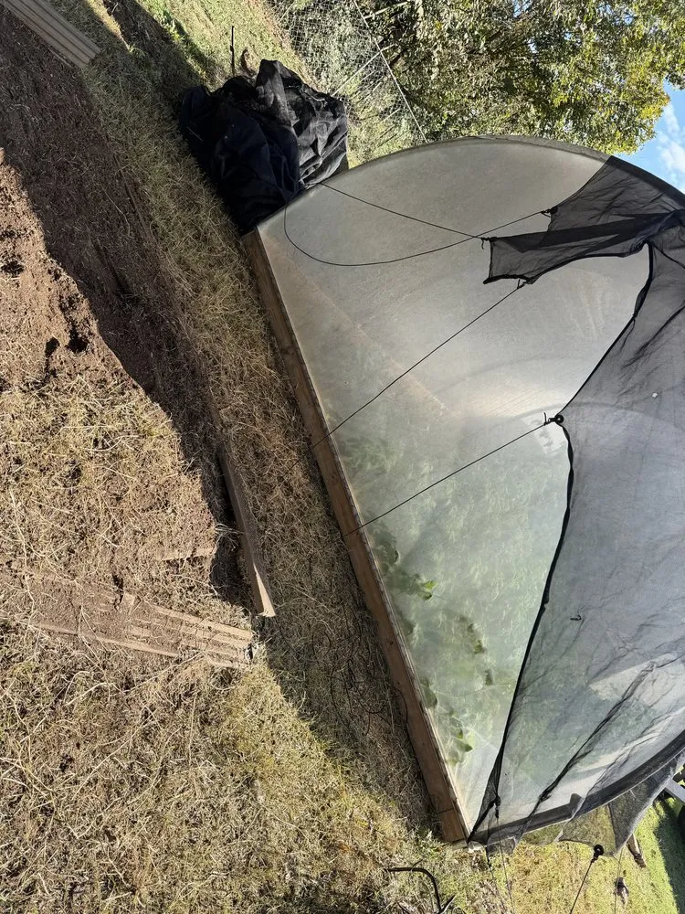 Affordable outdoor landscaping in Knoxville, TN - Davis Lawn Care