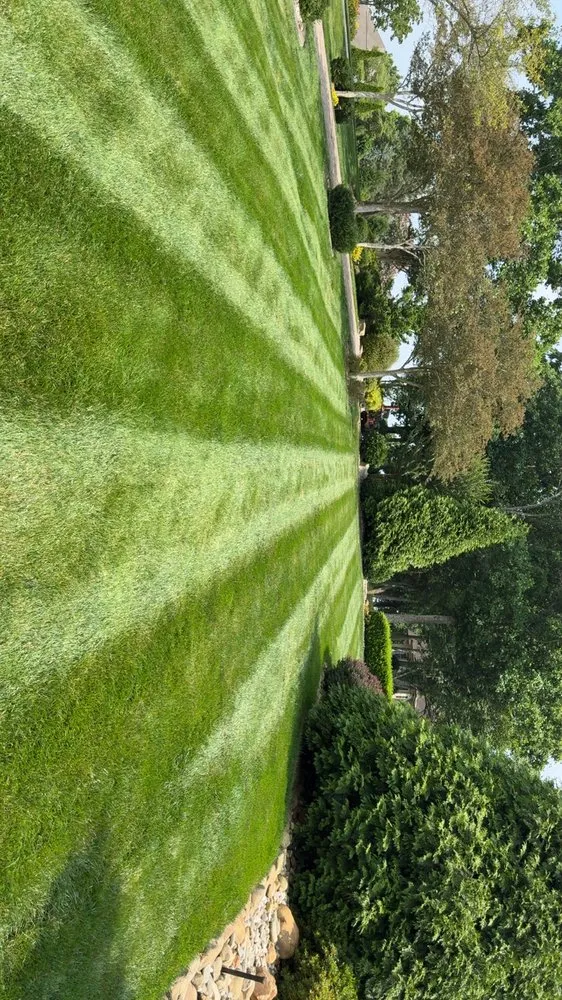 Professional landscape installation for year-round maintenance in Knoxville, TN by Davis Lawn Care