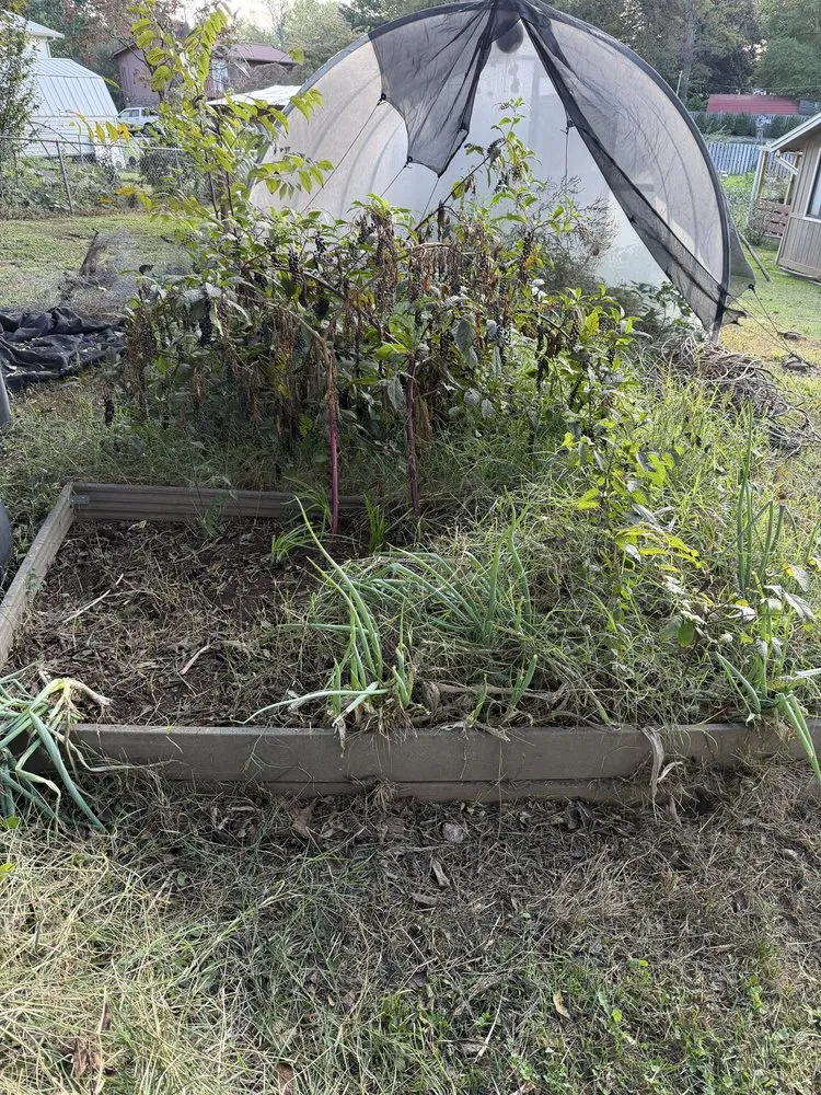 Professional lawn mowing service with custom design in Knoxville, TN by Davis Lawn Care