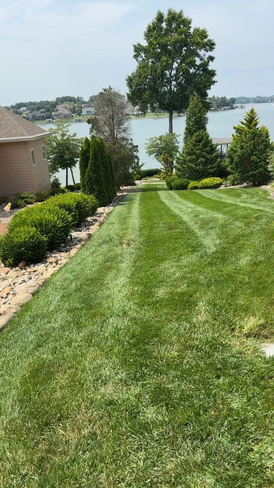 Expert yard maintenance for year-round maintenance across Knoxville, TN - Davis Lawn Care