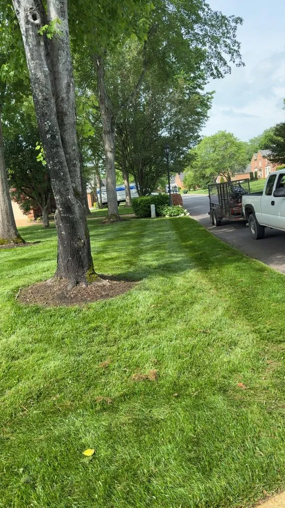 Top-rated yard maintenance for homes across Knoxville, TN - Davis Lawn Care