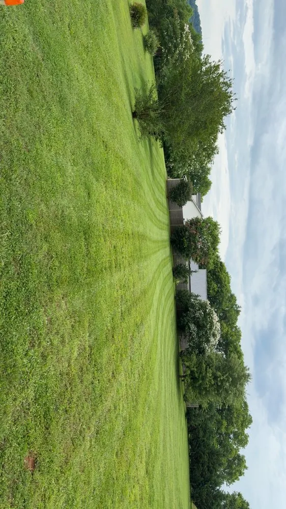 Custom landscaping services experts serving Knoxville, TN - Davis Lawn Care