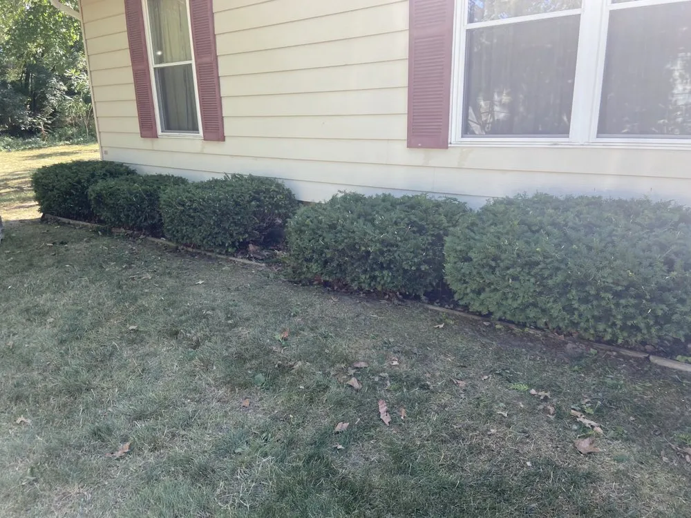 Affordable yard maintenance in Lansing, MI by Davis Lawn Care