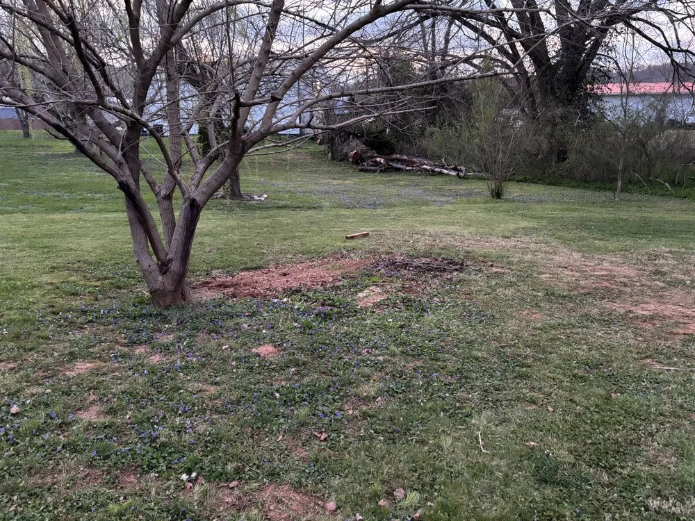 Trusted yard maintenance with custom design across Horse Cave, KY - Davis Lawn Maintenance