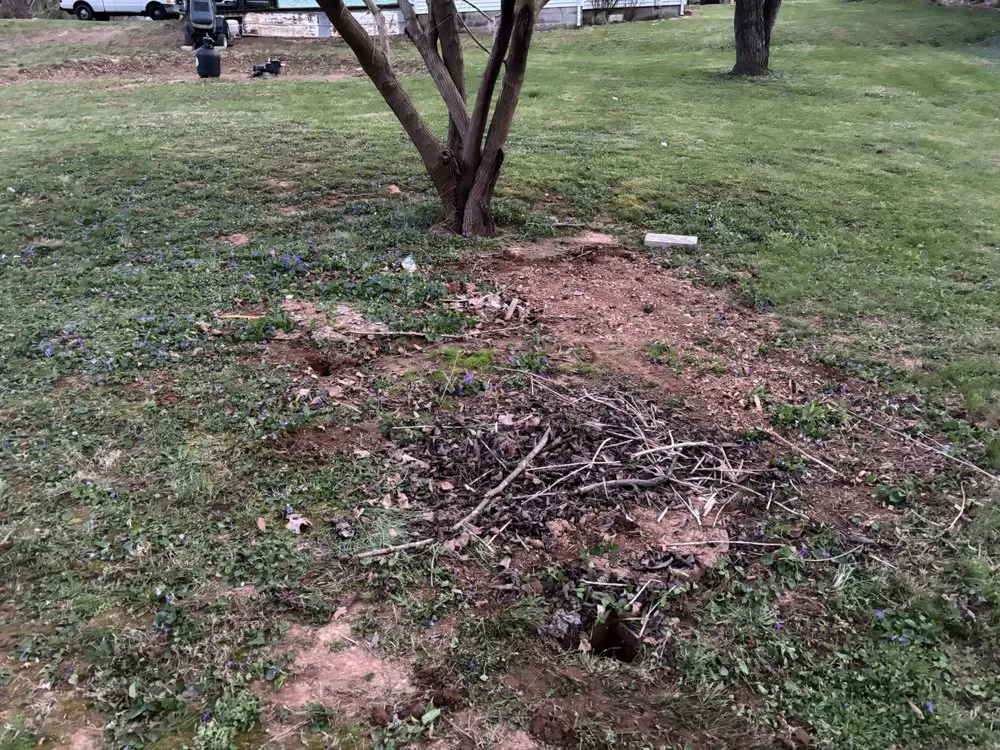 Expert garden landscaping near you across Horse Cave, KY - Davis Lawn Maintenance