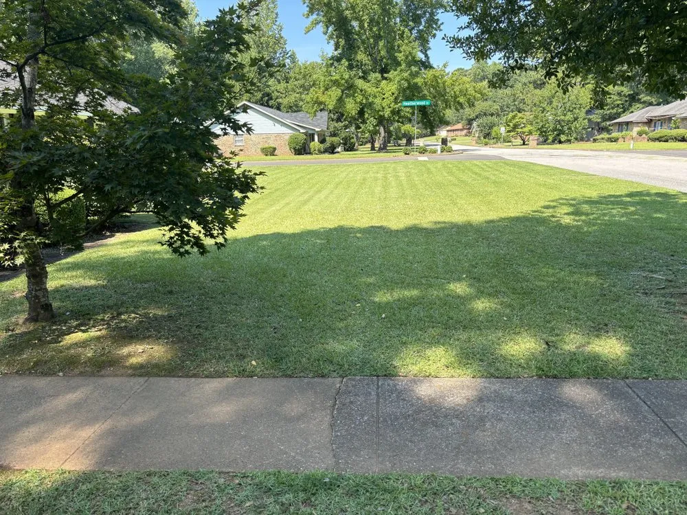 Affordable yard cleanup service for residential properties across Tuscaloosa, AL - Davis Lawn Professionals