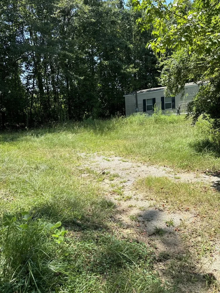 Custom outdoor landscaping for outdoor upgrades in Tuscaloosa, AL by Davis Lawn Professionals