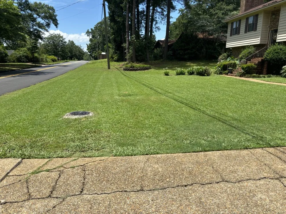 Professional garden landscaping experts serving Tuscaloosa, AL - Davis Lawn Professionals