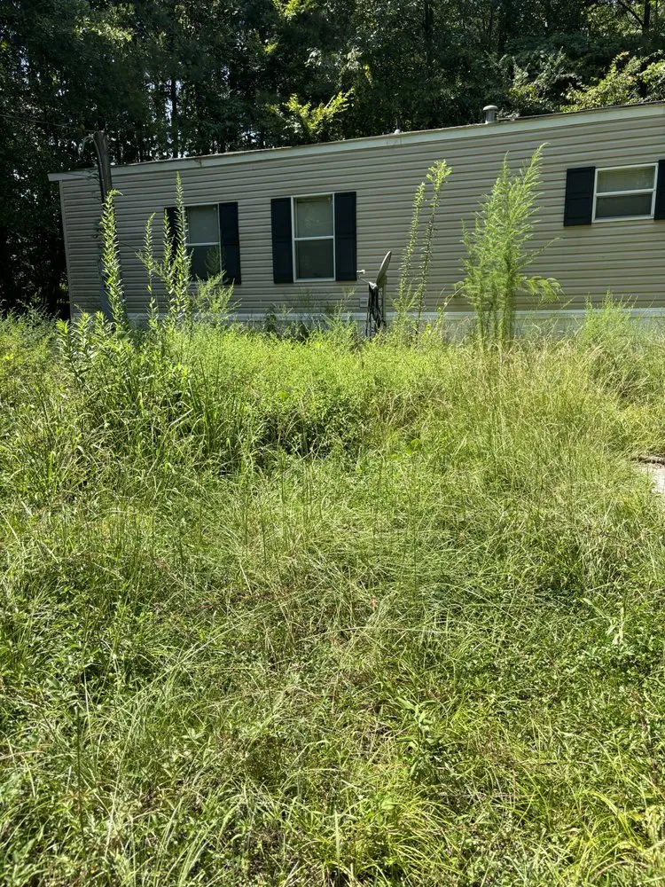 Custom garden landscaping in Tuscaloosa, AL by Davis Lawn Professionals