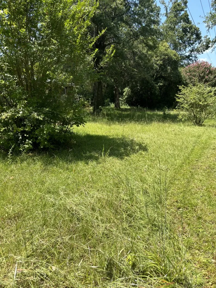 Top-rated lawn care service for residential properties across Tuscaloosa, AL - Davis Lawn Professionals