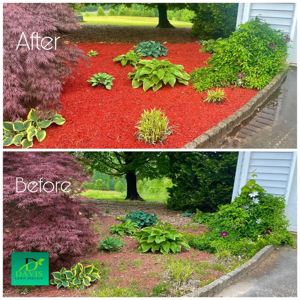 Expert lawn care service experts serving Walhalla, SC - Davis Lawn Service