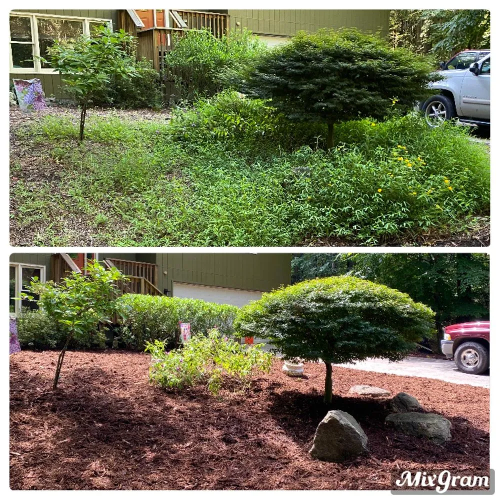 Professional landscape installation for beautiful yards across Walhalla, SC - Davis Lawn Service
