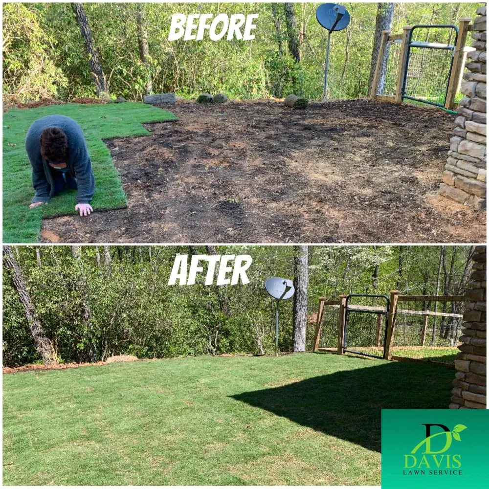 Local outdoor landscaping for year-round maintenance across Walhalla, SC - Davis Lawn Service