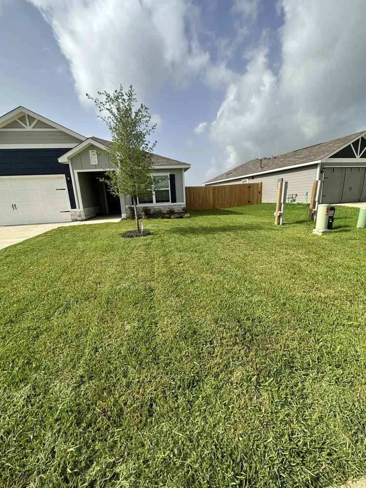 Expert landscape installation in Conroe, TX - Davis Lawn services