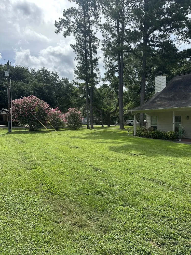 Top-rated landscape design experts serving Conroe, TX - Davis Lawn services