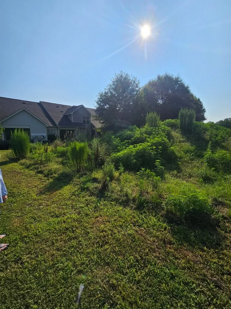 Affordable lawn care service for beautiful yards across Lillington, NC - Davis Lawncare and Home Services