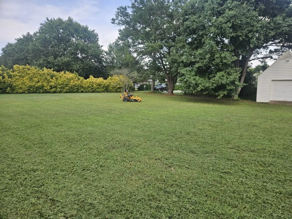 Affordable garden landscaping experts serving Lillington, NC - Davis Lawncare and Home Services