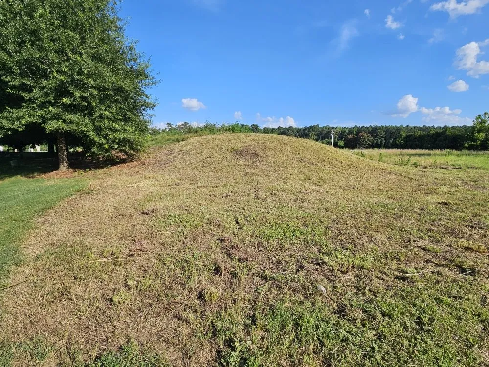 Custom landscaping services in Lillington, NC - Davis Lawncare and Home Services