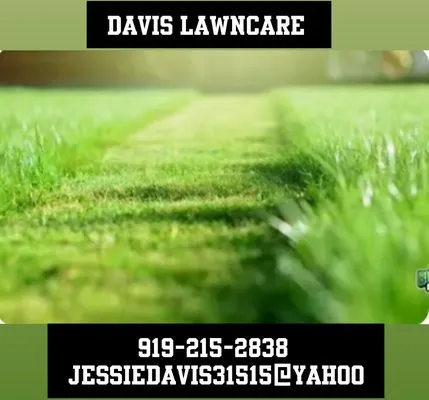 Davis Lawncare and Home Services Logo