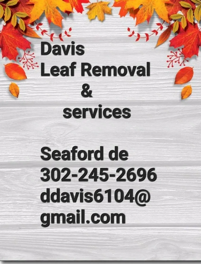 Reliable lawn mowing service for outdoor upgrades in Seaford, DE by Davis Leaf Removal & Services