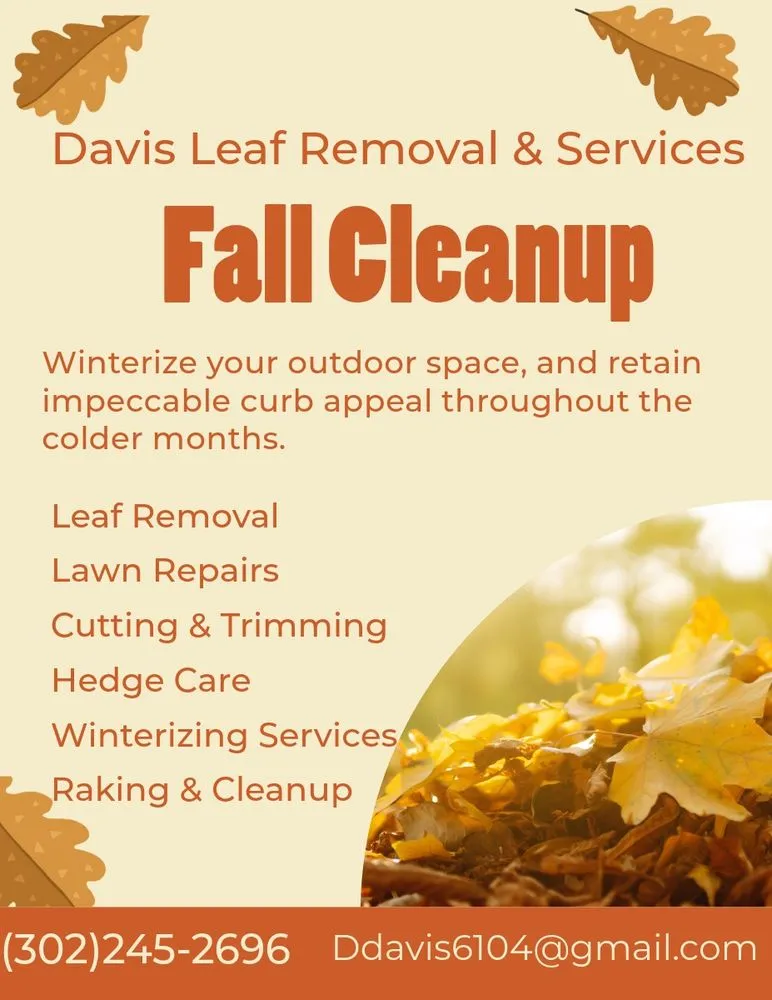Professional outdoor landscaping for beautiful yards in Seaford, DE by Davis Leaf Removal & Services