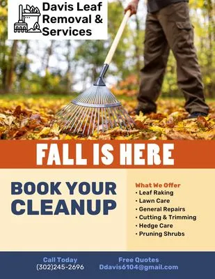 Davis Leaf Removal & Services