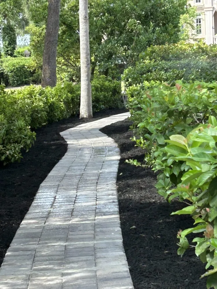 Reliable outdoor landscaping for homes in Bluffton, SC by Davis Mancia Landscaping