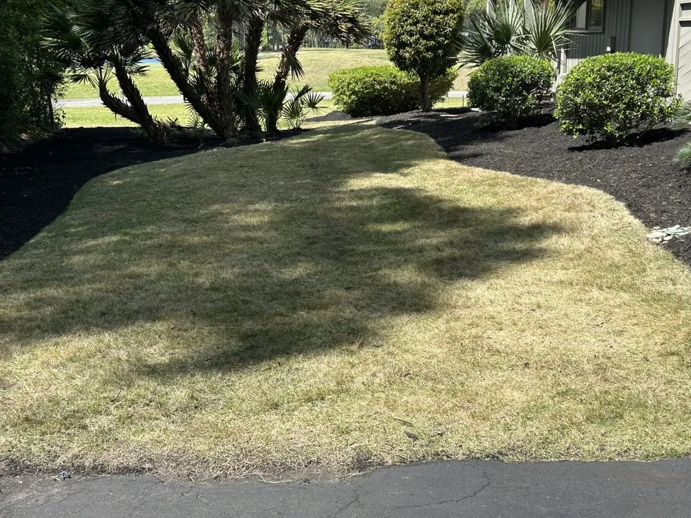 Expert landscape design for homes across Bluffton, SC - Davis Mancia Landscaping