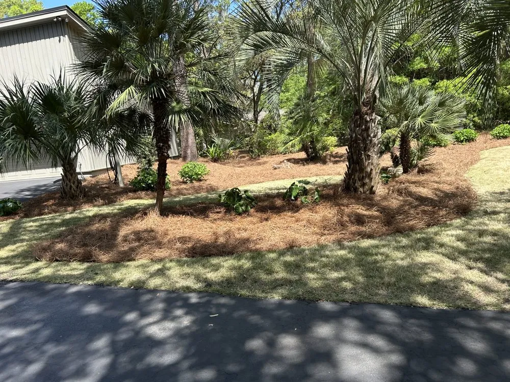 Reliable garden landscaping experts serving Bluffton, SC - Davis Mancia Landscaping