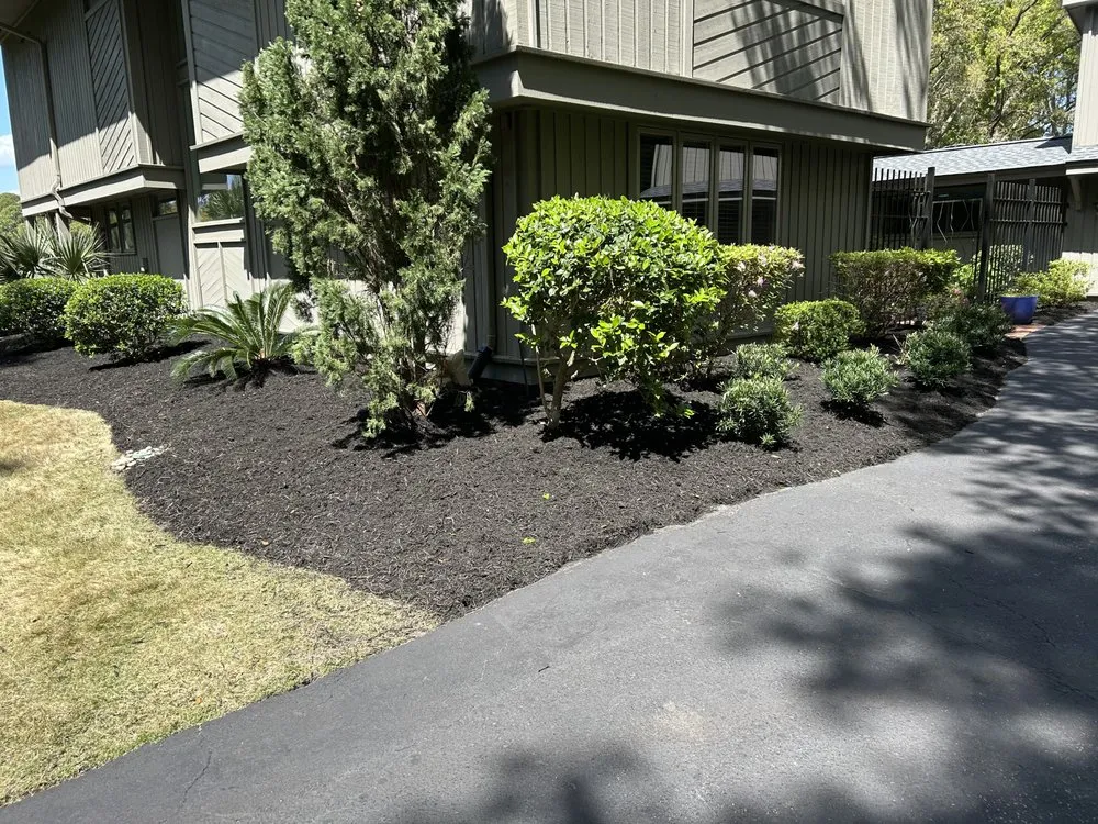 Affordable landscape design in Bluffton, SC by Davis Mancia Landscaping