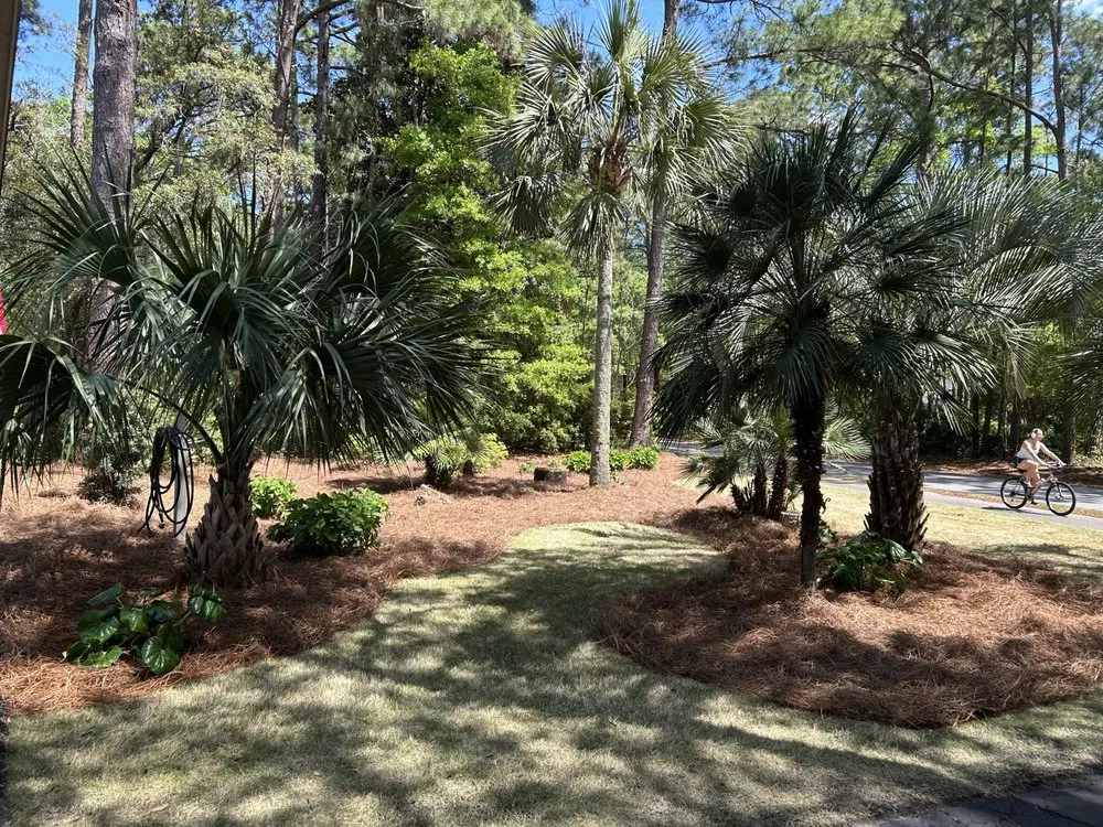 Affordable landscaping services with custom design across Bluffton, SC - Davis Mancia Landscaping