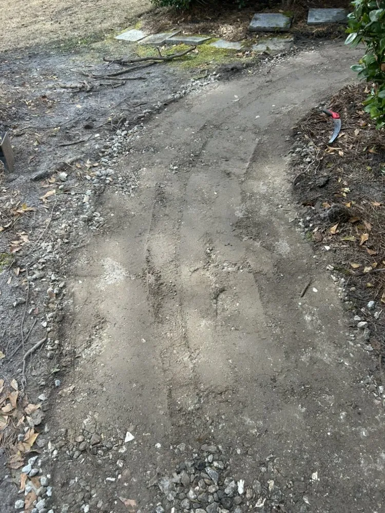 Top-rated landscaping services for year-round maintenance across Bluffton, SC - Davis Mancia Landscaping