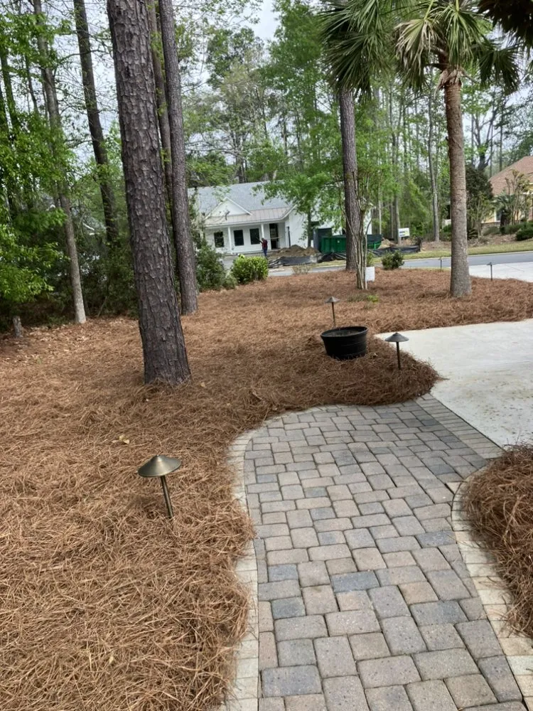 Affordable landscape design in Bluffton, SC - Davis Mancia Landscaping