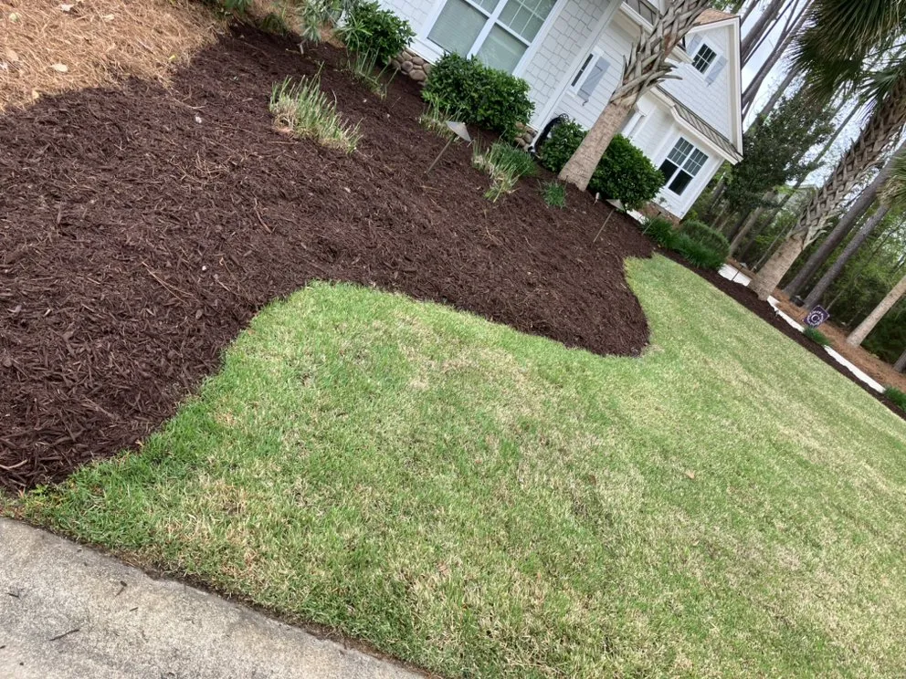 Professional landscape design in Bluffton, SC - Davis Mancia Landscaping