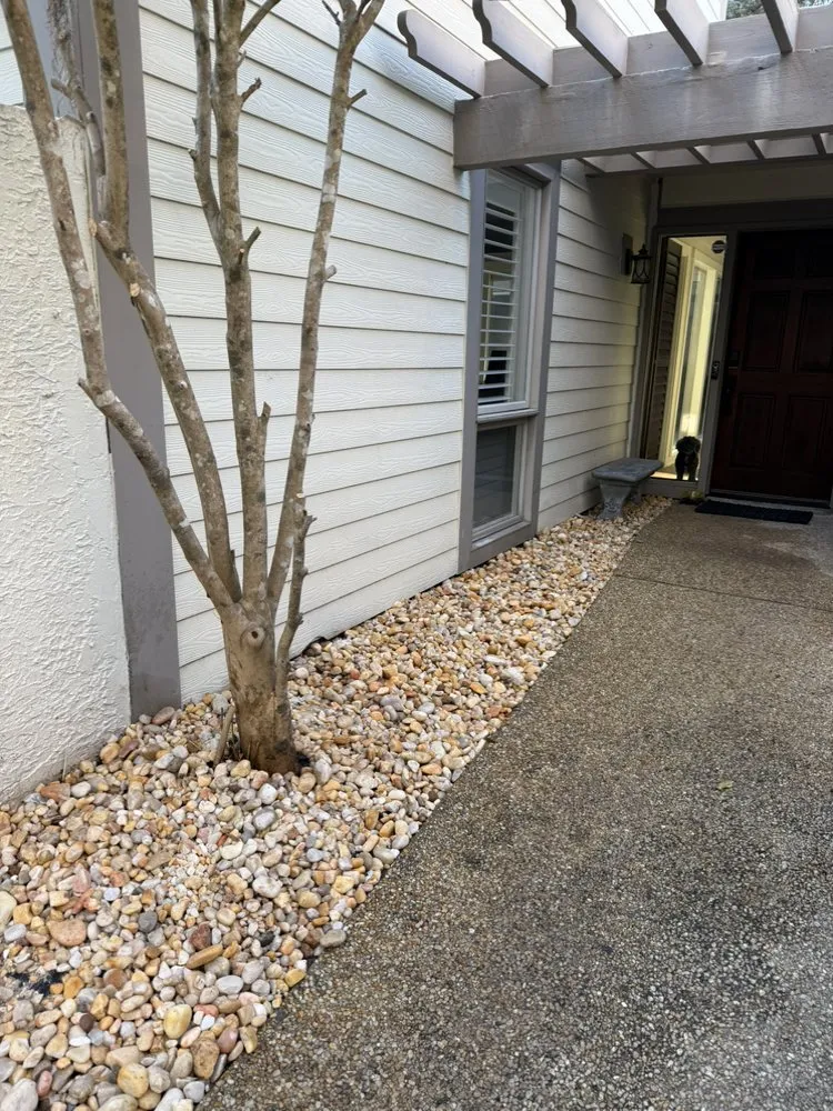 Top-rated landscaping services experts serving Bluffton, SC - Davis Mancia Landscaping