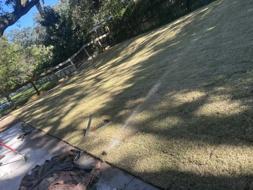 Expert outdoor landscaping in Bluffton, SC by Davis Mancia Landscaping