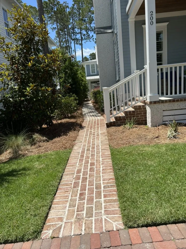Trusted yard maintenance in Bluffton, SC by Davis Mancia Landscaping