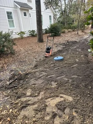 Davis Mancia Landscaping